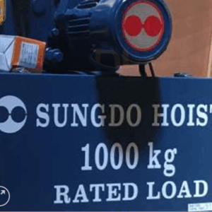 Pa lăng SungDo dầm đơn 1 tấn tại Đà Nẵng