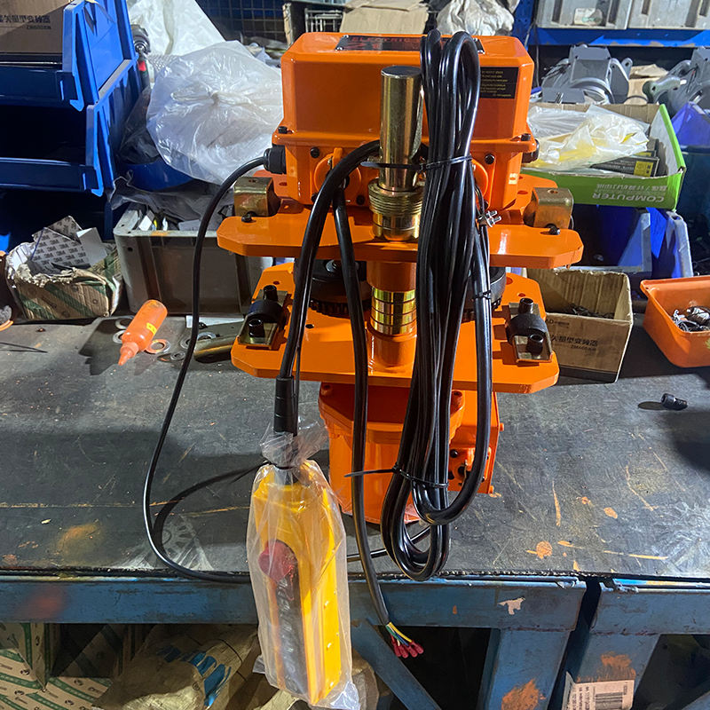 Palang xích điện KOIO cố định 1Tx3m 2 Palang xich dien KOIO co dinh