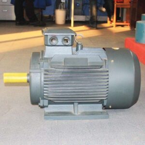 Mô Tơ Chân Đế YE-7.5KW